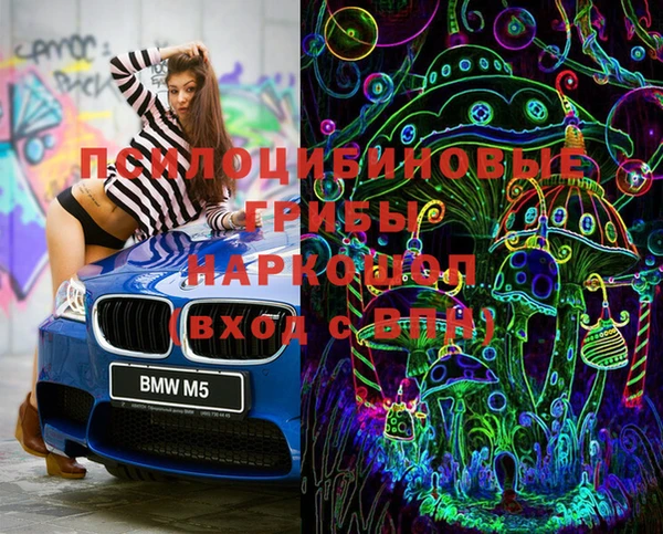 apvp Иннополис
