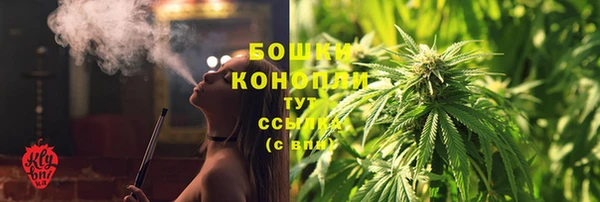 apvp Иннополис