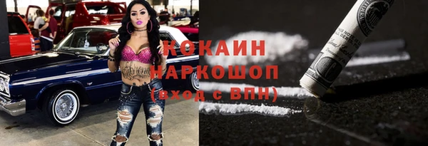 дмт Инта