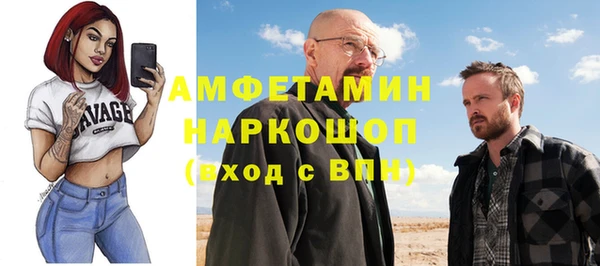 ГАЛЛЮЦИНОГЕННЫЕ ГРИБЫ Инсар