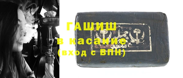 ГАЛЛЮЦИНОГЕННЫЕ ГРИБЫ Инсар
