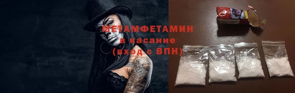 ГАЛЛЮЦИНОГЕННЫЕ ГРИБЫ Инсар