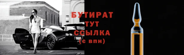 дмт Инта
