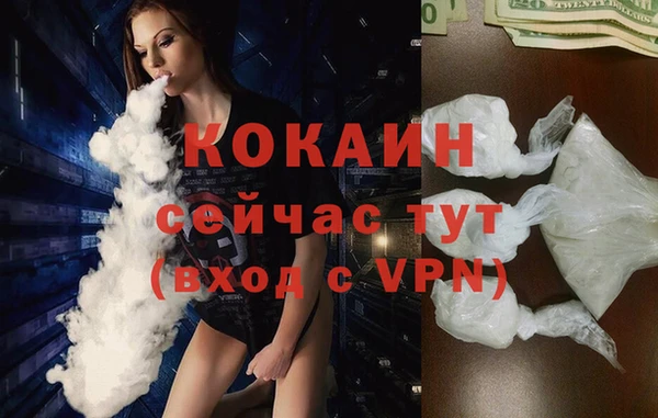apvp Иннополис