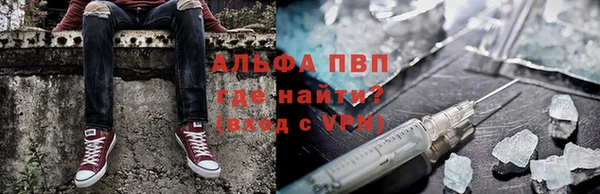 крисы Чердынь