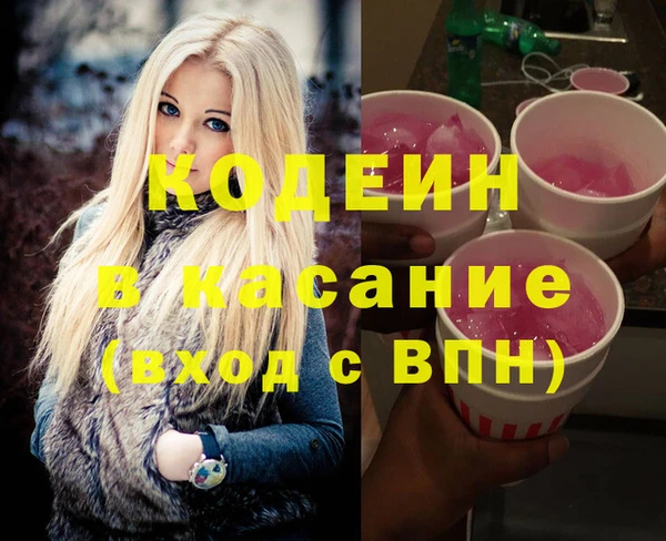 дмт Инта