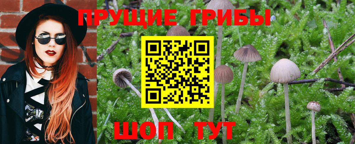 Галлюциногенные грибы прущие грибы Волжский