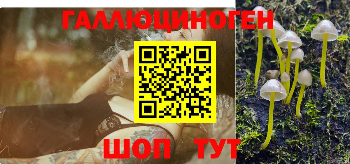 Псилоцибиновые грибы Magic Shrooms Волжский