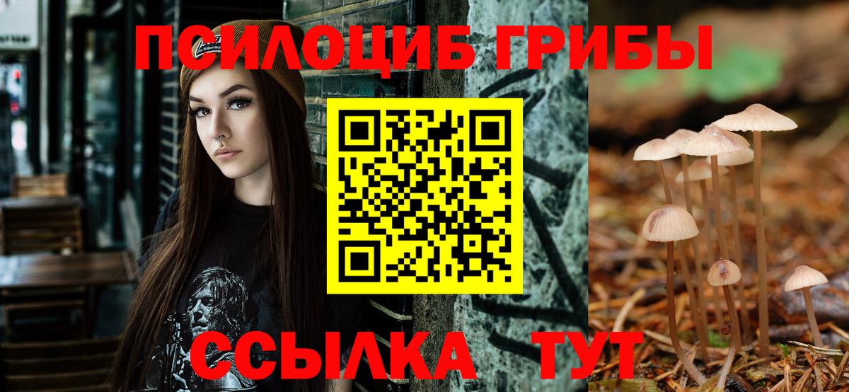 Псилоцибиновые грибы Psilocybe  Вход с VPN  Волжский  Галлюциногенные грибы Magic Shrooms 