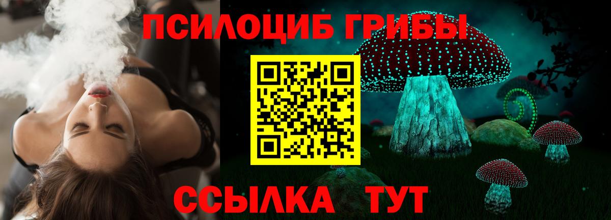 Галлюциногенные грибы Cubensis  Волжский 